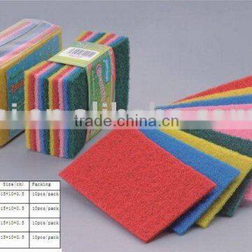 Scouring Pads