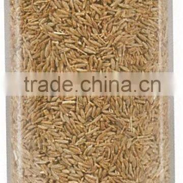 Cumin Seeds