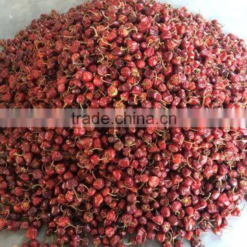 Dry Round Red Chilli From India