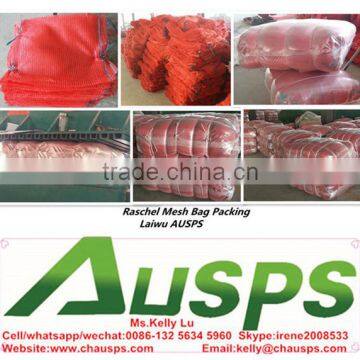 PE Raschel Mesh Bag for Packing Vegetables photo-4
