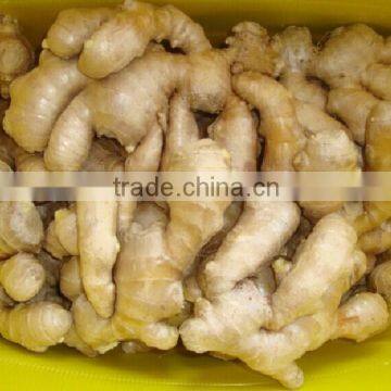 China air dried fresh ginger