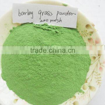 Good After-sales Barley Grass Powder photo-5