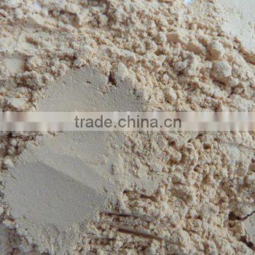 Spray Dried White Asparagus Powder