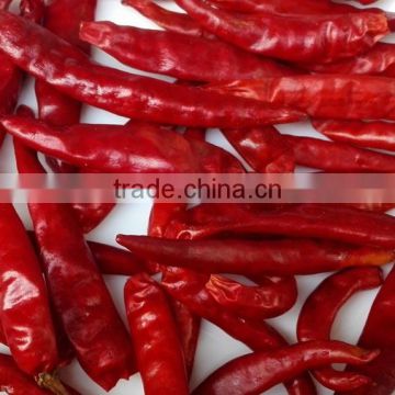 Chaotian chilli