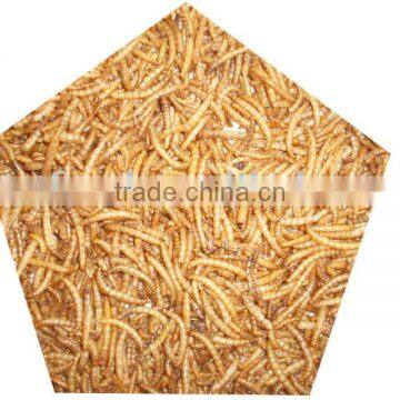 freeze dried high quality dried mealworm bird food