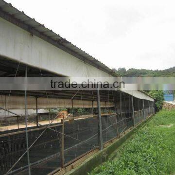 Broiler Poultry Farm Design photo-4