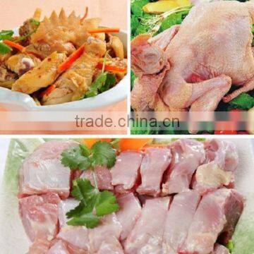 Chicken Plucker Machine,high Efficiency Chicken Feather Removal Machine photo-5