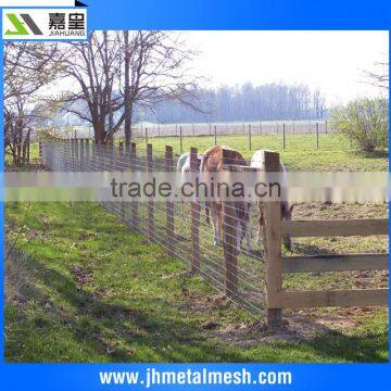 China Anping galvanized wire filed fence cattle fence woven wire mesh