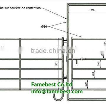 cattle headlocks gate