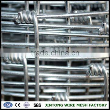 Powder Coated Wire Mesh Fencegalvanized Hog Wire Fencingcattle Livestock Fence photo-2