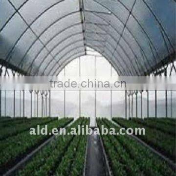 Clear cheap Special Designed Vegetables Insect Screen