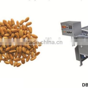 potato chips fryer