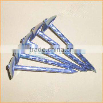 Top Quality Double Point Roofing Nails Trusted Chuanghe Suppliers From Com photo-6