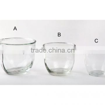 Hot selling clear glass flower pots