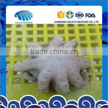 IQF Best Price Baby Octopus For Sale