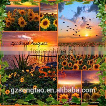 Like as Father's flower, Refined sunflower specification wholesale