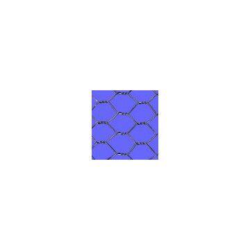 United States Hexagonal Wire Netting