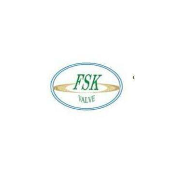 Tianjin FSK Flow Control Equipment CO.LTD.