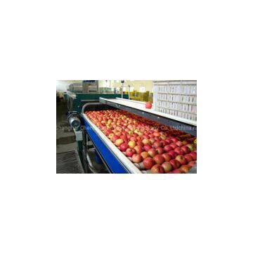 Apple processing line