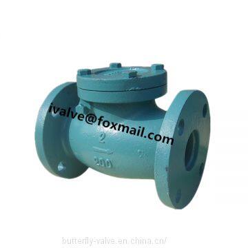 Cast Iron ANSI Swing Check Valve