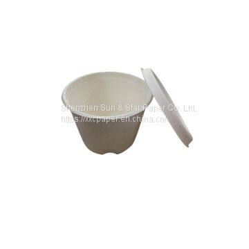 4oz cup with bleached bagasse pulp