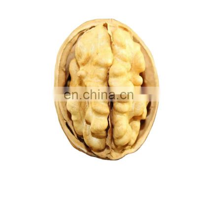 peel walnut  for Peru India Vietnam USA France Philippines Nepal Morocco Bangladesh Canada