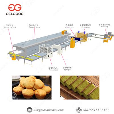 Efficient Swiss Roll Cake Production Line|Automatic Cake Machine