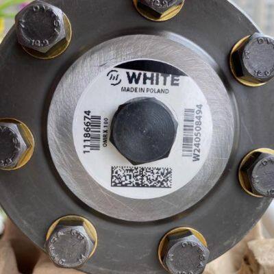 Danfoss Hydraulic Motor DANFOSS Oil Pump OMR100 Cycloidal Motor photo-5