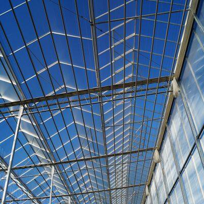 5 мм проволочные стеклянные панели для теплицы - Соответствуют стандарту безопасности EN 572