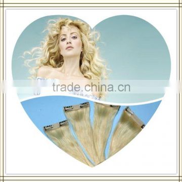 2013gradeAAA&high quality &fashional brazilian wet and wavy hair