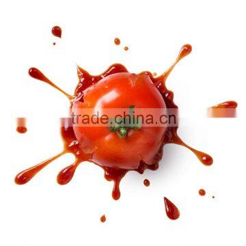 Pure 100% Natural 3kg Canned Tomato Paste/ketchup