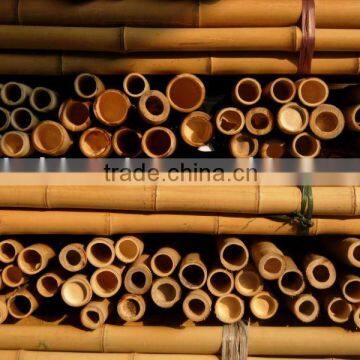 Bamboo pole Sun-023