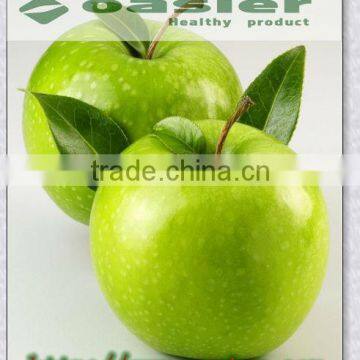 apple extract phloridzin