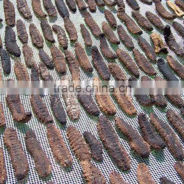 Grade A Stockfish and Dried Salted Saithe Bacalhau