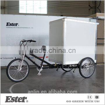 500W ESTER Electric new style Cargo delivery Trike