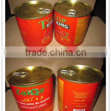 ISO Certified Canned Tomato Paste Factory photo-5