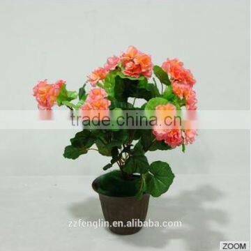 Cheap Wholesale Artificial Silk Begonia Flower Bouquet For Home Decoration photo-5
