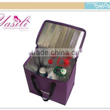 Fashionable Beer Bottle Cooler Bag Traveling Cooler Bag for Medication photo-2