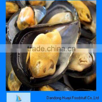 Cooked frozen half shell mussel