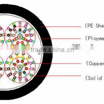 eia tia 568b multi pairs 100pair cat3 telephone cable network cable definition