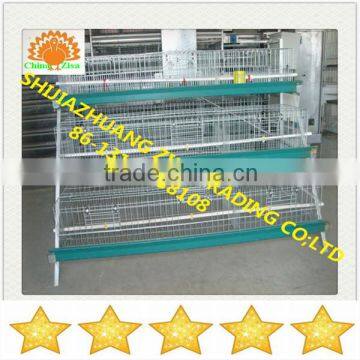 A type 120 birds chicken laying cage