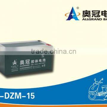 8-DZM-15 16v15ah electric bicycle battery