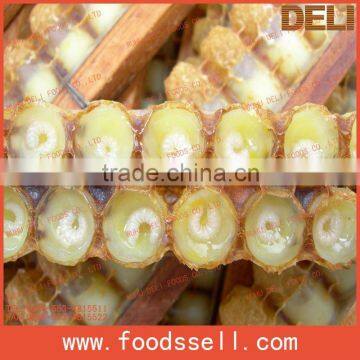 High Quality Royal Jelly For Export