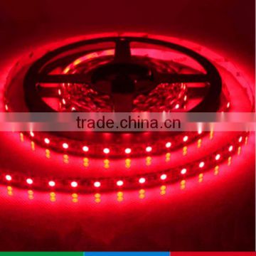 Dc12v/24v Smd3528 Ip65 Flex Led Strip Led Flexible Hose Light