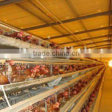 chicken cages