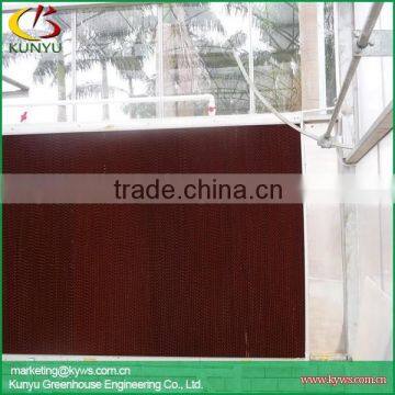 Multi-span Polycarbonate Greenhouse Commercial Greenhouse for Sale photo-6