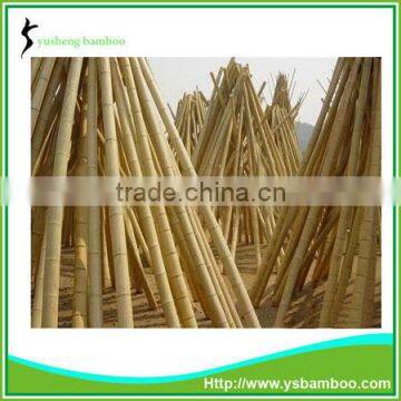 Artificial Bamboo Poles photo-1