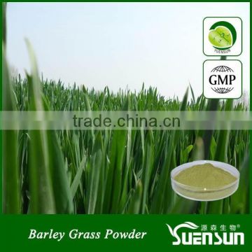 organic barley grass powder high quality green barley grass powder