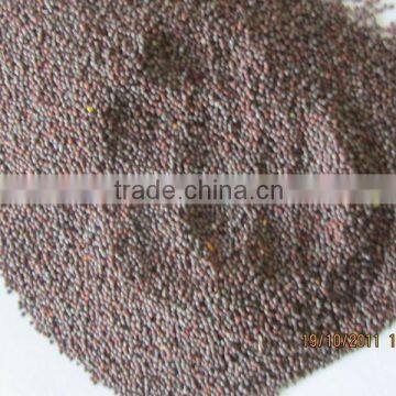 Mustard seed prices