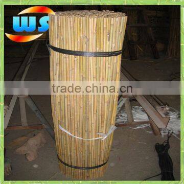 Bamboo for the orchard,agricultral and flower growing